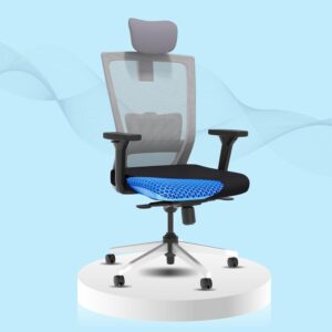 Best office chair for lower back pain in India in 2025